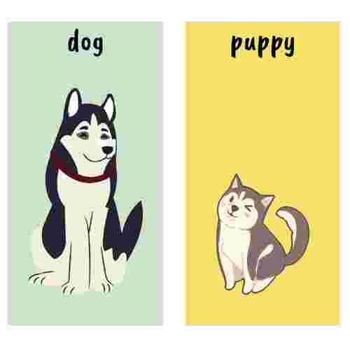 Free Speech Therapy Flashcards &amp; Worksheets for Toddlers, Children’s ...
